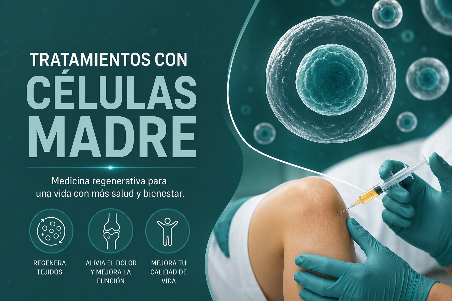 Celulas Madre
